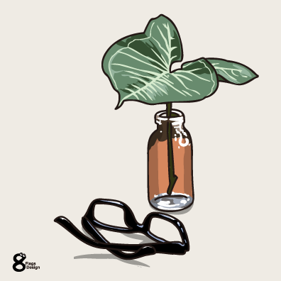 シンゴニウムの花瓶とメガネ（オレンジ）のキャッチ画像