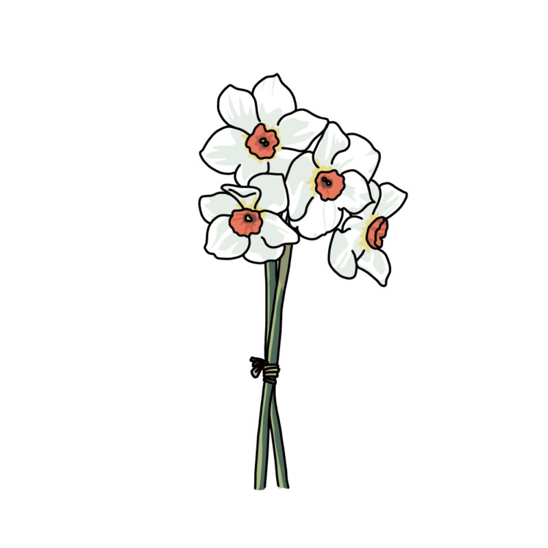 水仙の花束白