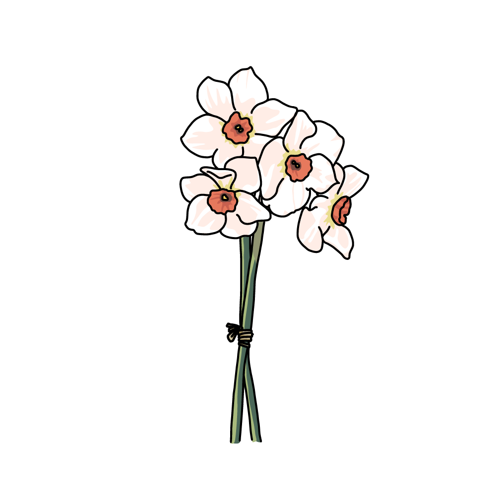 無料 商用利用okのベクター素材 水仙の花束のイラスト ベクターシェルフ