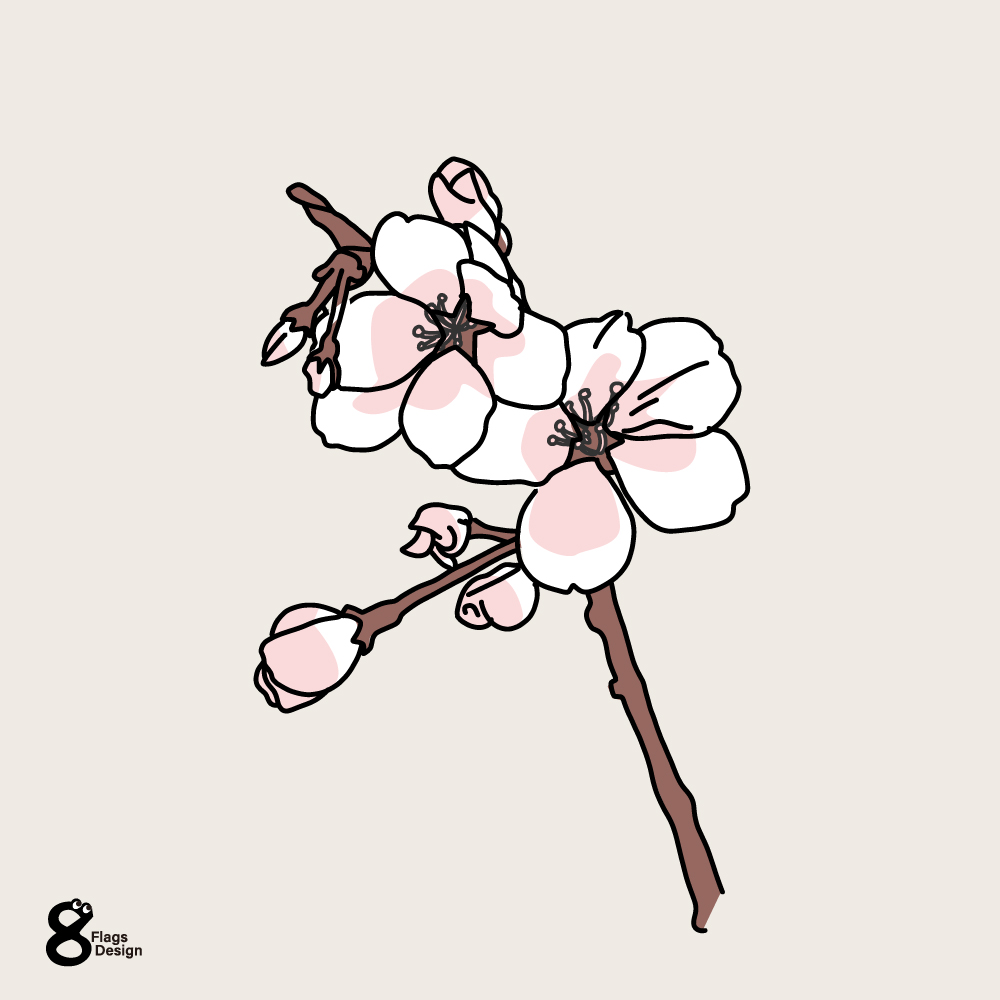 桜の小枝のキャッチ画像
