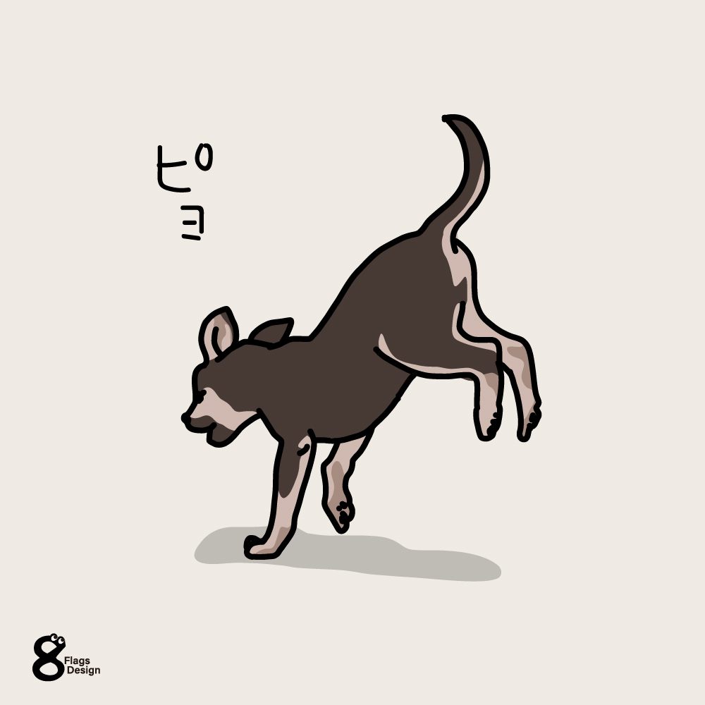 ジャンピング犬のキャッチ画像