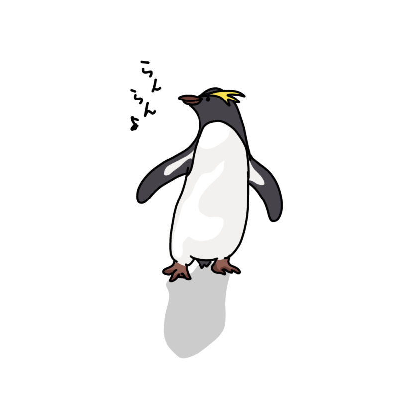 ダンシングイワトビペンギン黒