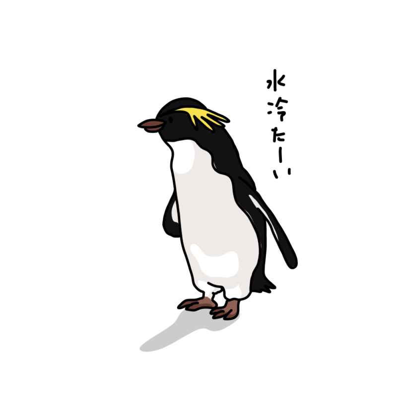 水が冷たいイワトビペンギンノーマル