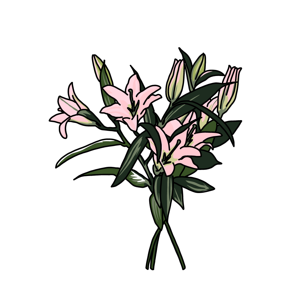 無料 商用利用okのベクター素材 ユリの花のイラスト ベクターシェルフ