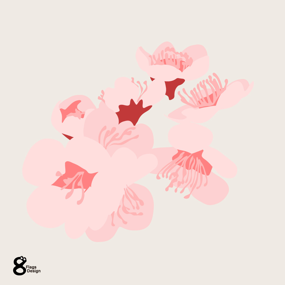 梅の花のキャッチ画像