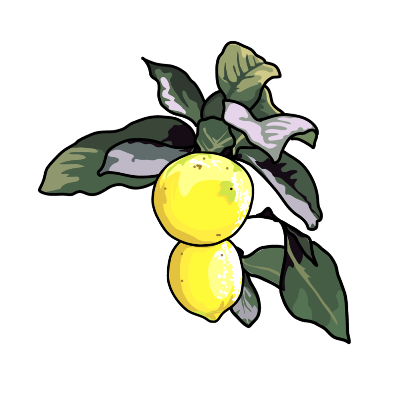 レモン3-3