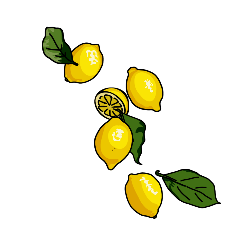 レモン5-3