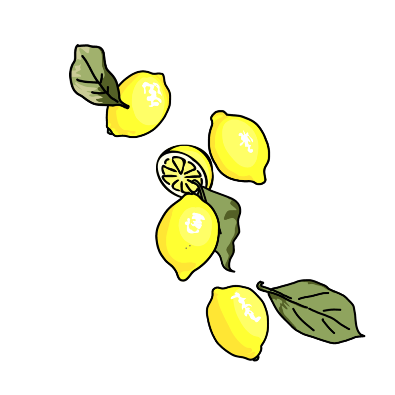レモン5-4