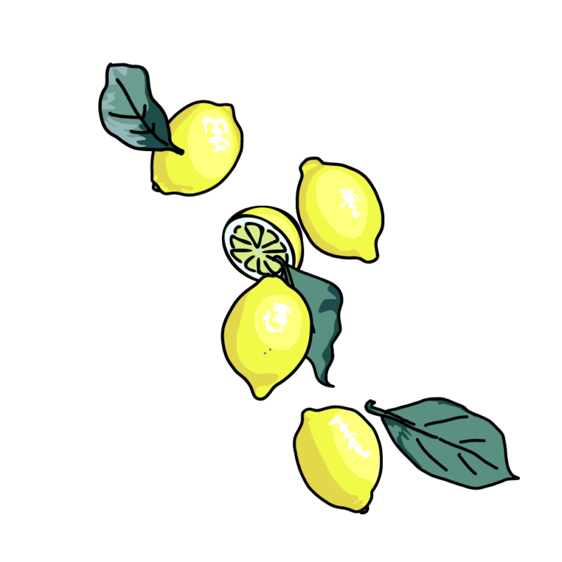 レモン5-1
