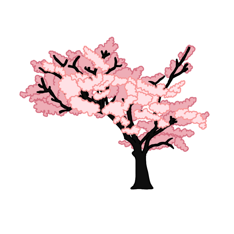 桜の木0302
