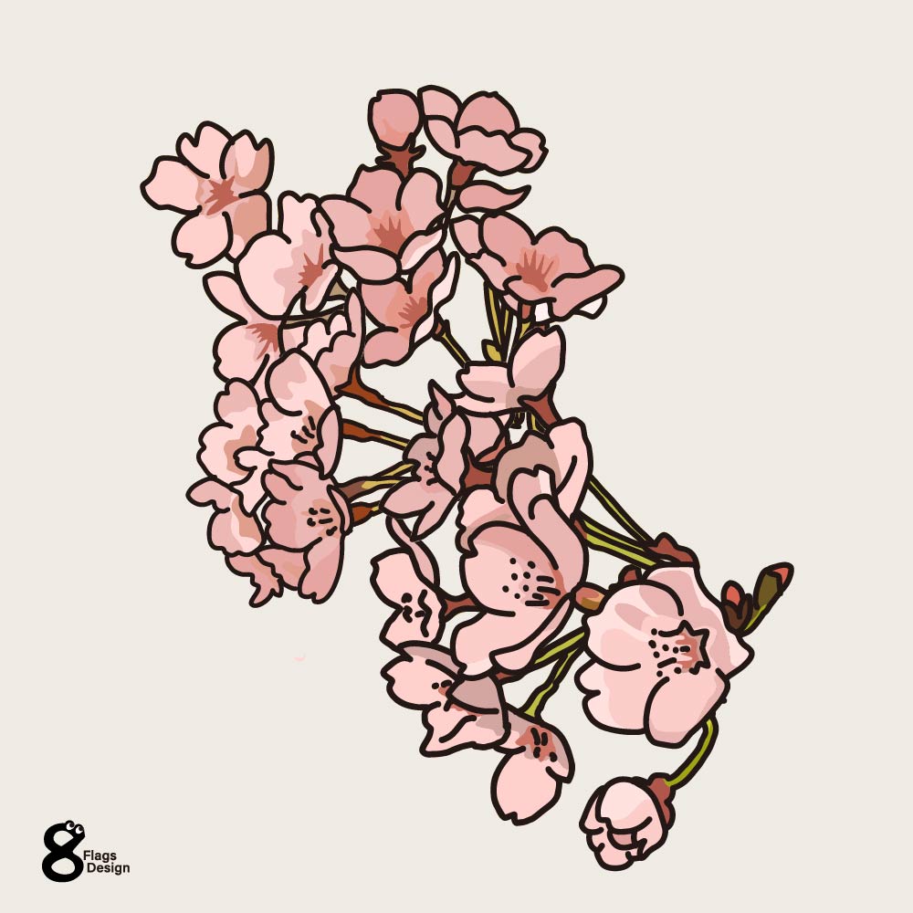 桜の花のキャッチ画像