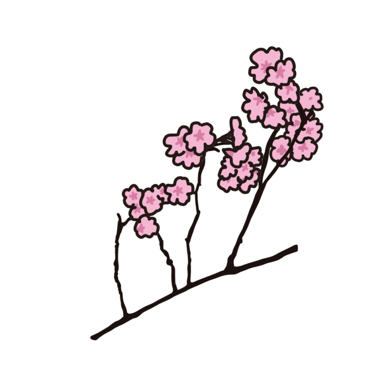 桜の枝10