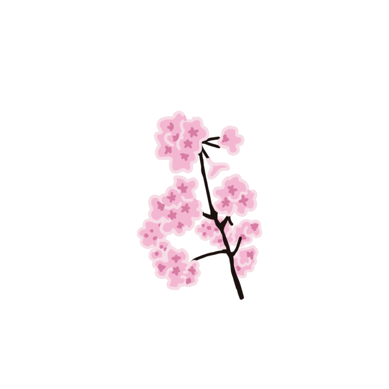 桜の枝04