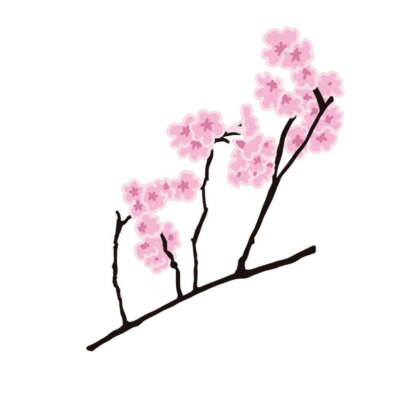 桜の枝06
