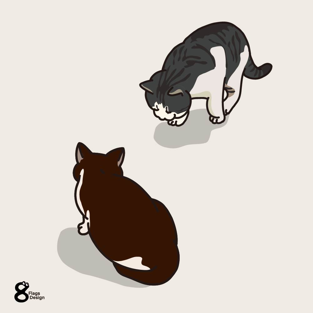 ケンカ一歩手前の猫のキャッチ画像