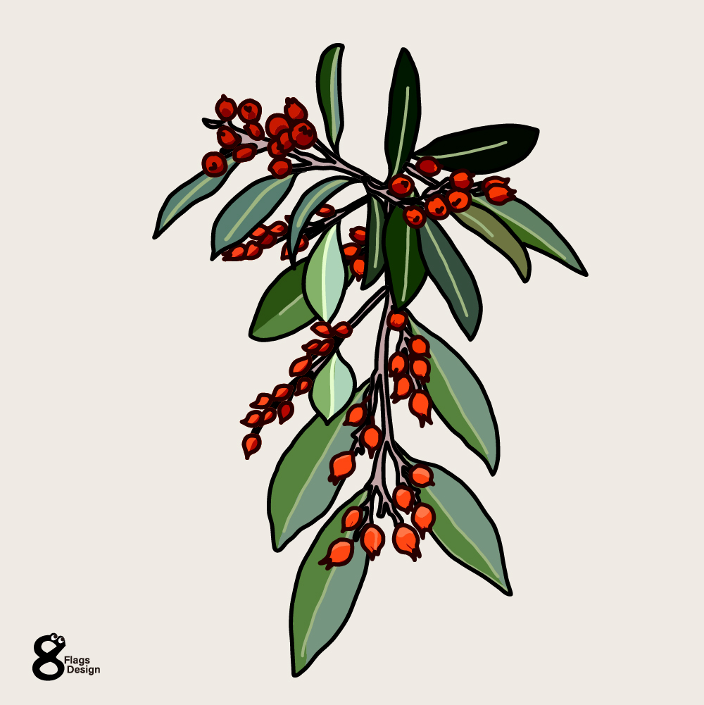 冬の赤い木の実のキャッチ画像